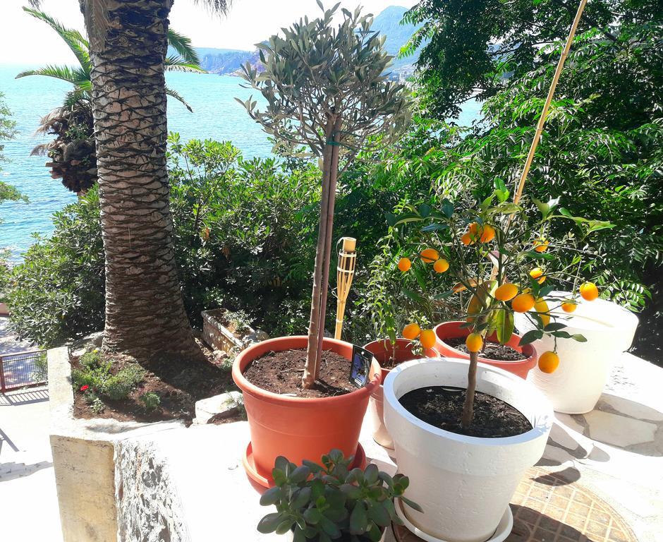 Two Palms Apartment ซูโตมอเร ภายนอก รูปภาพ